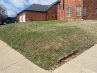 new Milsap stone wall, Plano before