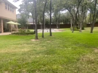 Restored grassy backyard in Keller TX after complete pool and pool deck removal, with mature trees and patio area visible