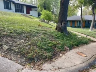 Sloped residential yard in Dallas TX before Milsap stone retaining wall installation, showing eroding grass hillside near sidewalk and mature tree