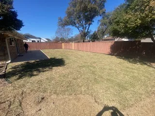 Flat grassy backyard after residential pool removal in Plano TX, showing restored lawn with wood privacy fence