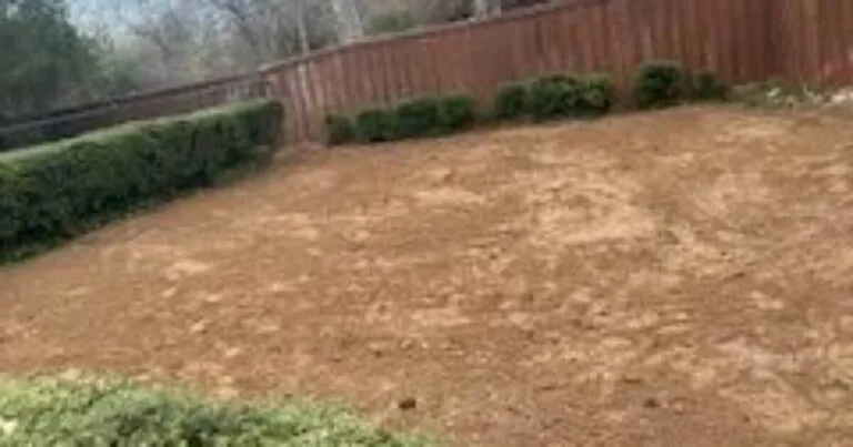 Backyard after residential pool removal showing smooth graded bare soil, wood privacy fence, and trimmed shrubs in DFW