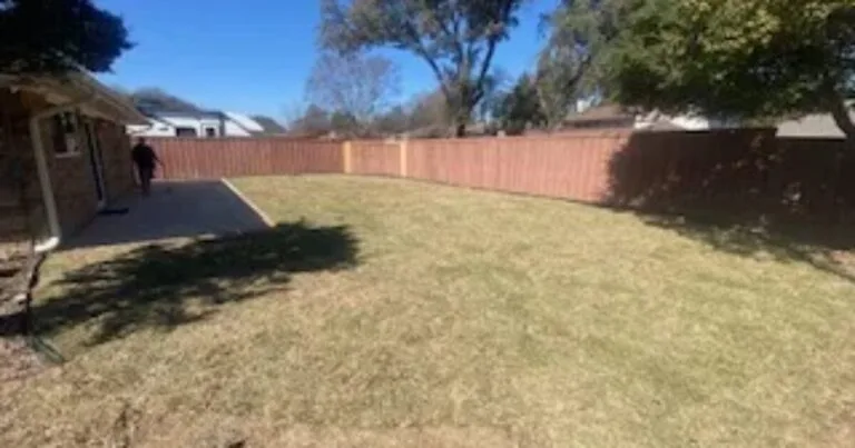 Restored backyard after residential pool removal in Plano TX — flat grassy yard with wood privacy fence where pool once stood
