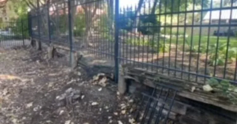 Deteriorating railroad tie retaining wall with exposed rebar and debris along iron fence line, ready for replacement with Milsap stone in Dallas, TX