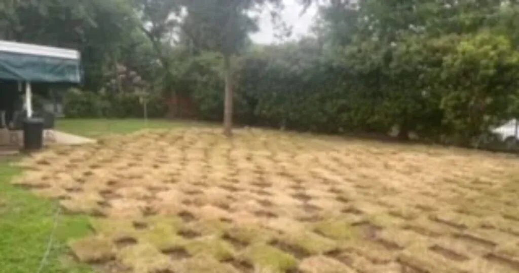 Backyard after partial pool and deck demolition, showing finish-graded soil with compaction grid pattern ready for landscaping in DFW