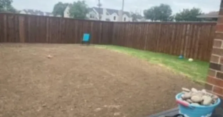 Backyard after partial pool and decking demolition, showing smooth graded soil and remaining grass strip along wood fence in DFW suburb