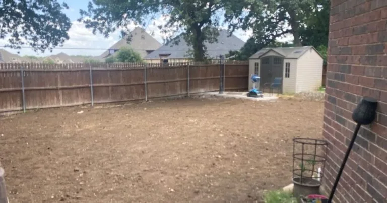 Backyard after partial pool removal showing smooth graded dirt yard, wood privacy fence, and storage shed in North Richland Hills, TX