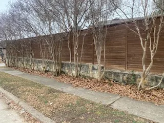 Old stone retaining wall bowing and stained beneath an overgrown Carrollton fence line