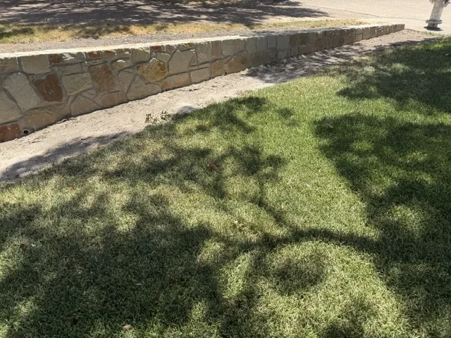 Finished natural stone retaining wall and restored lawn in a Dallas back yard