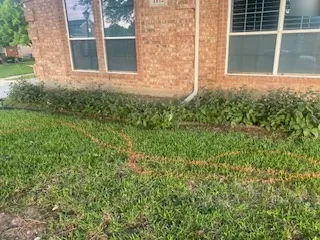 Flower bed with no edging and an orange painted border line on the lawn in Benbrook, TX